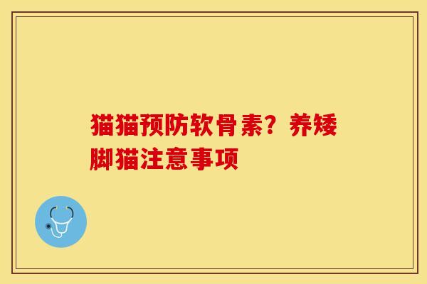 猫猫预防软骨素？养矮脚猫注意事项