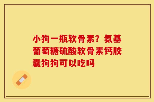 小狗一瓶软骨素？氨基葡萄糖硫酸软骨素钙胶囊狗狗可以吃吗
