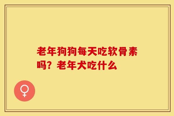 老年狗狗每天吃软骨素吗？老年犬吃什么