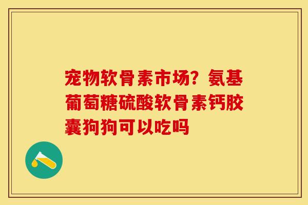 宠物软骨素市场？氨基葡萄糖硫酸软骨素钙胶囊狗狗可以吃吗