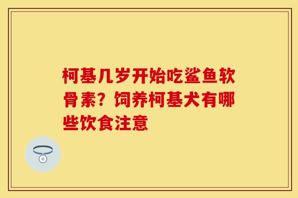 柯基几岁开始吃鲨鱼软骨素？饲养柯基犬有哪些饮食注意