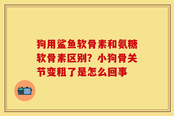 狗用鲨鱼软骨素和氨糖软骨素区别？小狗骨关节变粗了是怎么回事