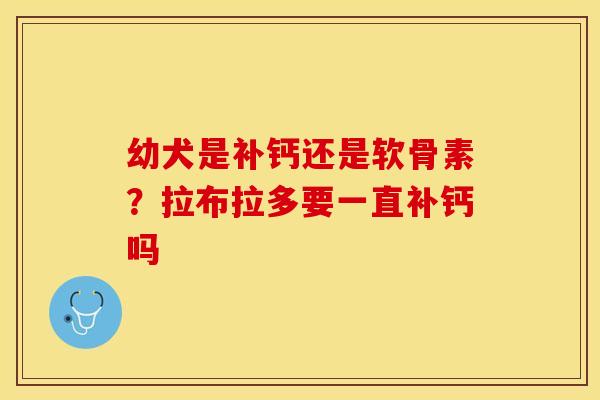 幼犬是补钙还是软骨素？拉布拉多要一直补钙吗