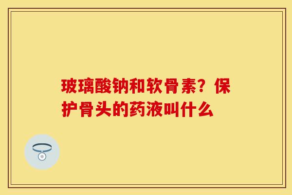 玻璃酸钠和软骨素？保护骨头的药液叫什么