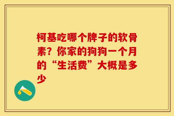 柯基吃哪个牌子的软骨素？你家的狗狗一个月的“生活费”大概是多少