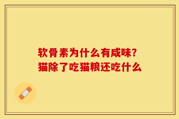 软骨素为什么有咸味？猫除了吃猫粮还吃什么