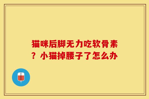 猫咪后脚无力吃软骨素？小猫掉腰子了怎么办