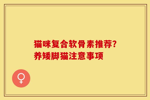 猫咪复合软骨素推荐？养矮脚猫注意事项