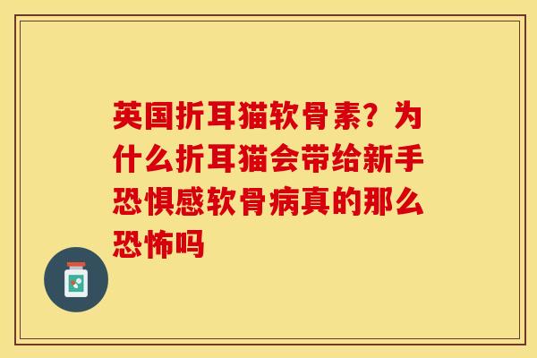 英国折耳猫软骨素？为什么折耳猫会带给新手恐惧感软骨病真的那么恐怖吗