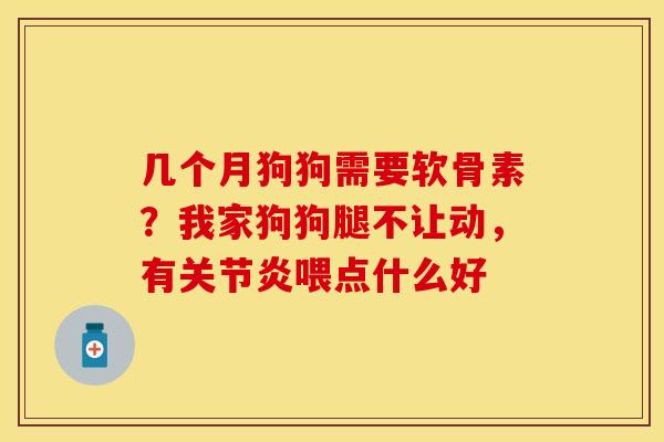 几个月狗狗需要软骨素？我家狗狗腿不让动，有关节炎喂点什么好