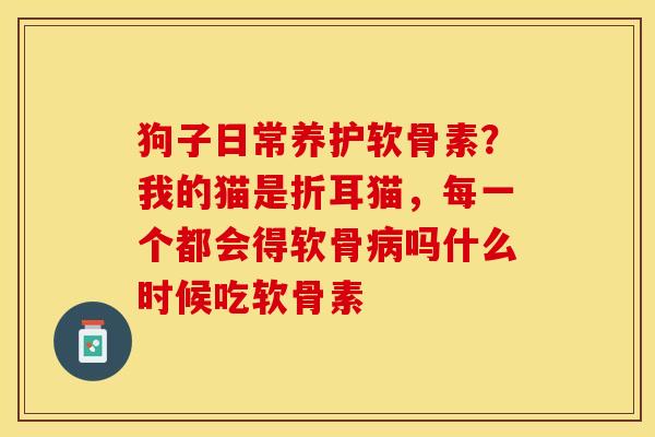 狗子日常养护软骨素？我的猫是折耳猫，每一个都会得软骨病吗什么时候吃软骨素