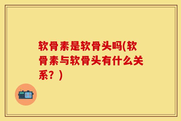 软骨素是软骨头吗(软骨素与软骨头有什么关系？)