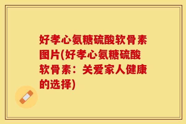 好孝心氨糖硫酸软骨素图片(好孝心氨糖硫酸软骨素：关爱家人健康的选择)-第1张图片-关节保镖