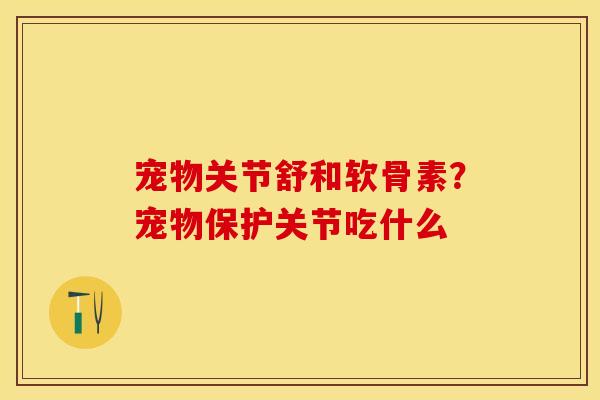 宠物关节舒和软骨素？宠物保护关节吃什么