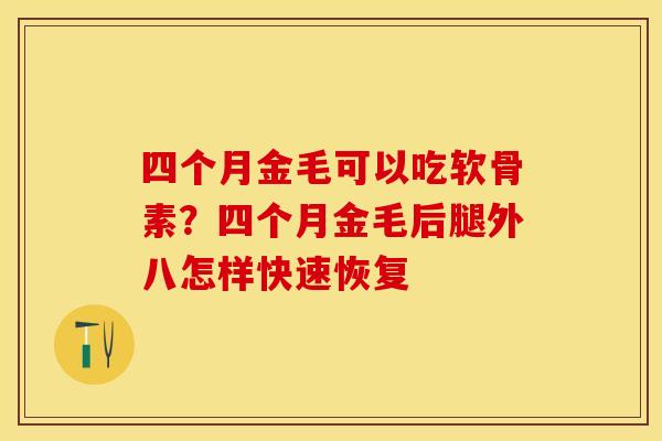 四个月金毛可以吃软骨素？四个月金毛后腿外八怎样快速恢复