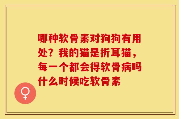 哪种软骨素对狗狗有用处？我的猫是折耳猫，每一个都会得软骨病吗什么时候吃软骨素
