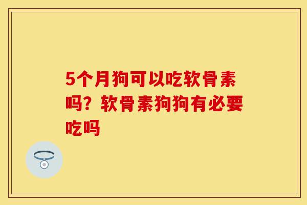 5个月狗可以吃软骨素吗？软骨素狗狗有必要吃吗