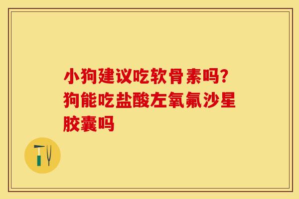 小狗建议吃软骨素吗？狗能吃盐酸左氧氟沙星胶囊吗