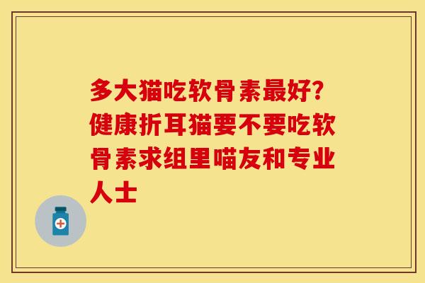 多大猫吃软骨素最好？健康折耳猫要不要吃软骨素求组里喵友和专业人士