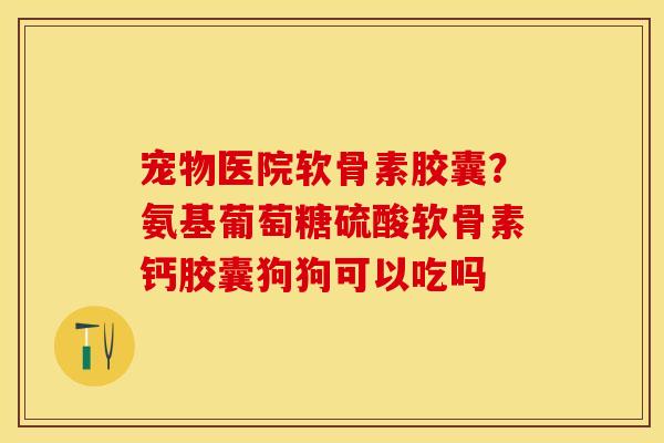 宠物医院软骨素胶囊？氨基葡萄糖硫酸软骨素钙胶囊狗狗可以吃吗
