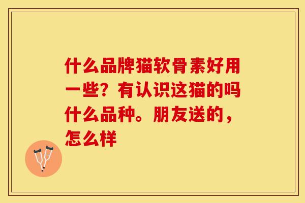 什么品牌猫软骨素好用一些？有认识这猫的吗什么品种。朋友送的，怎么样