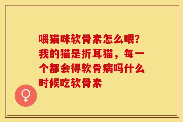 喂猫咪软骨素怎么喂？我的猫是折耳猫，每一个都会得软骨病吗什么时候吃软骨素