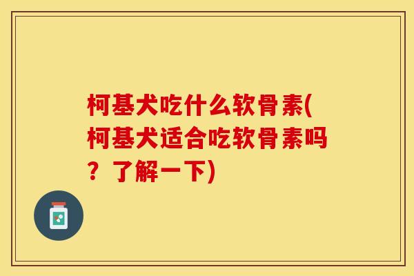 柯基犬吃什么软骨素(柯基犬适合吃软骨素吗？了解一下)