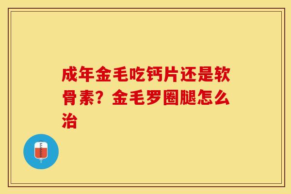 成年金毛吃钙片还是软骨素？金毛罗圈腿怎么治