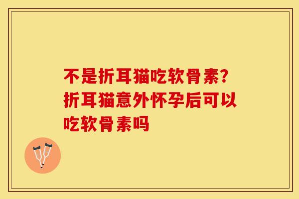 不是折耳猫吃软骨素？折耳猫意外怀孕后可以吃软骨素吗