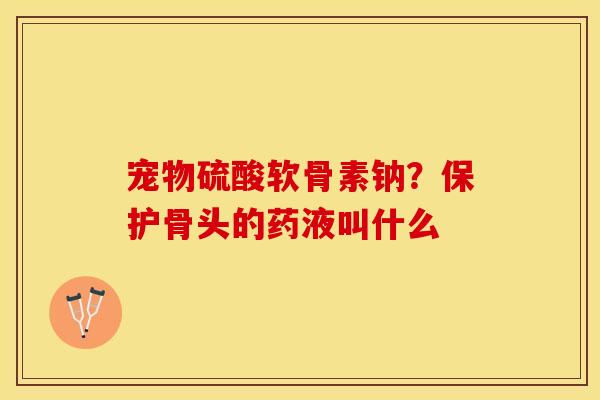 宠物硫酸软骨素钠？保护骨头的药液叫什么