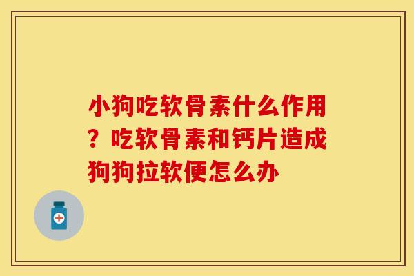小狗吃软骨素什么作用？吃软骨素和钙片造成狗狗拉软便怎么办