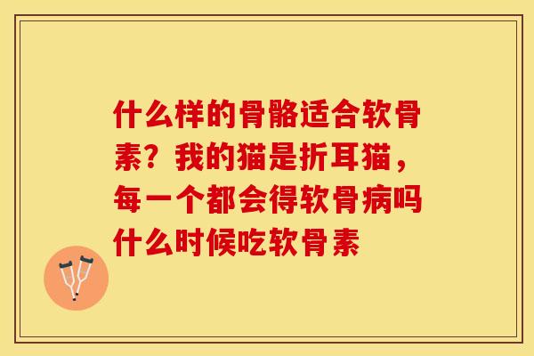 什么样的骨骼适合软骨素？我的猫是折耳猫，每一个都会得软骨病吗什么时候吃软骨素