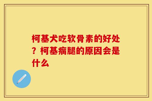 柯基犬吃软骨素的好处？柯基瘸腿的原因会是什么