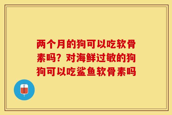 两个月的狗可以吃软骨素吗？对海鲜过敏的狗狗可以吃鲨鱼软骨素吗