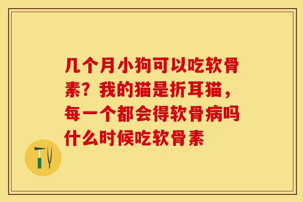 几个月小狗可以吃软骨素？我的猫是折耳猫，每一个都会得软骨病吗什么时候吃软骨素