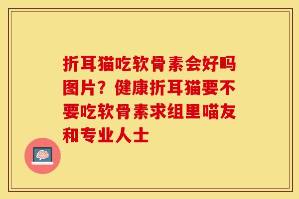 折耳猫吃软骨素会好吗图片？健康折耳猫要不要吃软骨素求组里喵友和专业人士