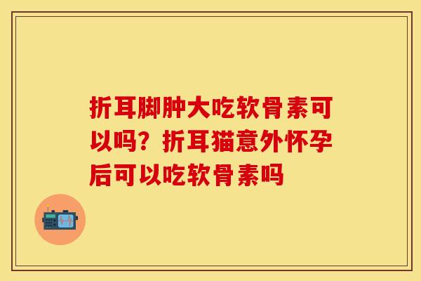 折耳脚肿大吃软骨素可以吗？折耳猫意外怀孕后可以吃软骨素吗