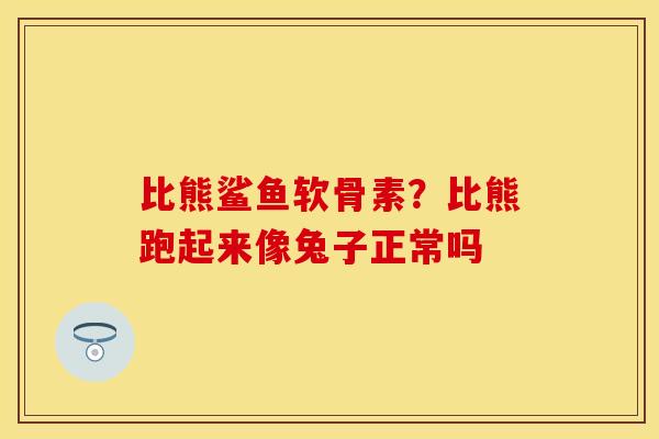 比熊鲨鱼软骨素？比熊跑起来像兔子正常吗