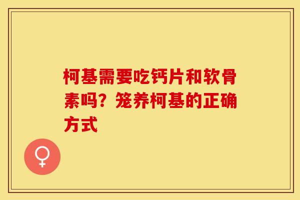 柯基需要吃钙片和软骨素吗？笼养柯基的正确方式