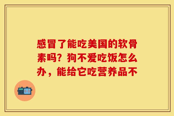 感冒了能吃美国的软骨素吗？狗不爱吃饭怎么办，能给它吃营养品不