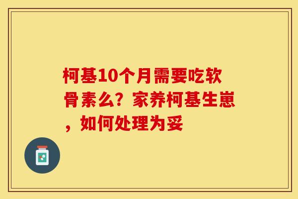 柯基10个月需要吃软骨素么?家养柯基生崽,如何处理为妥-第1张图片-关节保镖 柯基10个月需要吃软骨素么?家养柯基生崽,如何处理为妥-第1张图片-关节保镖