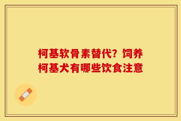 柯基软骨素替代？饲养柯基犬有哪些饮食注意