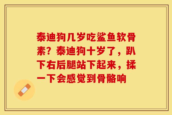泰迪狗几岁吃鲨鱼软骨素？泰迪狗十岁了，趴下右后腿站下起来，揉一下会感觉到骨骼响-第1张图片-关节保镖