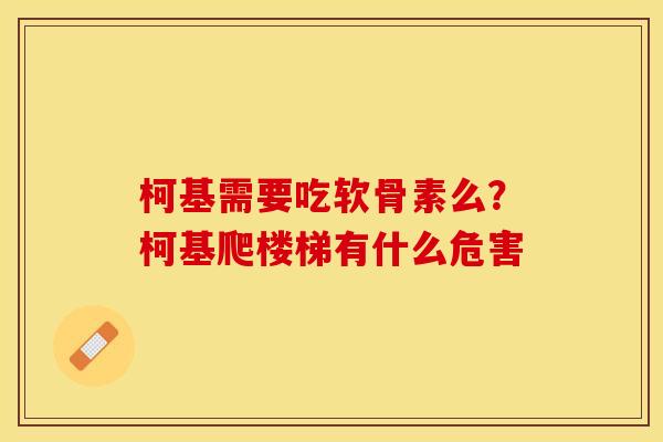 柯基需要吃软骨素么？柯基爬楼梯有什么危害