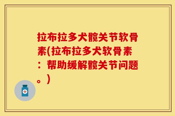 拉布拉多犬髋关节软骨素(拉布拉多犬软骨素：帮助缓解髋关节问题。)