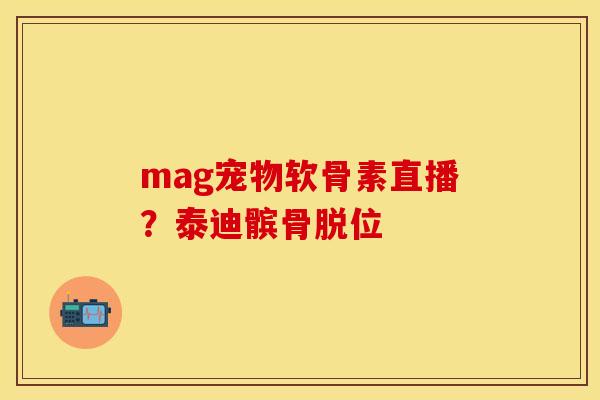 mag宠物软骨素直播？泰迪髌骨脱位