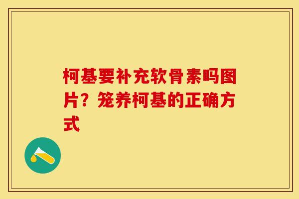 柯基要补充软骨素吗图片？笼养柯基的正确方式