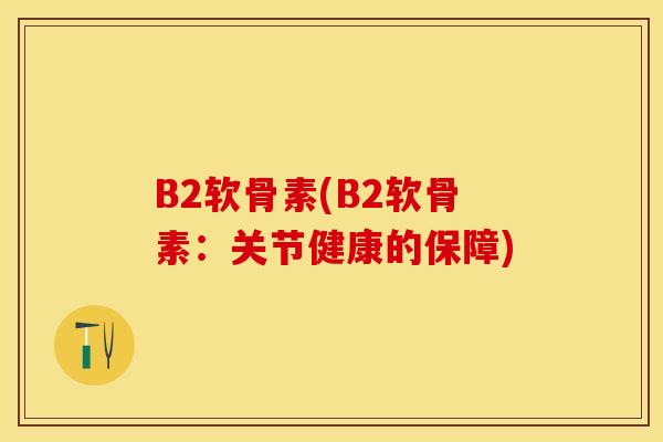 B2软骨素(B2软骨素：关节健康的保障)