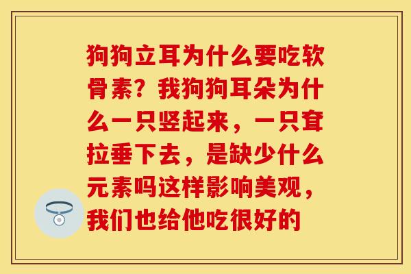 狗狗立耳为什么要吃软骨素？我狗狗耳朵为什么一只竖起来，一只耷拉垂下去，是缺少什么元素吗这样影响美观，我们也给他吃很好的