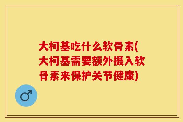 大柯基吃什么软骨素(大柯基需要额外摄入软骨素来保护关节健康)